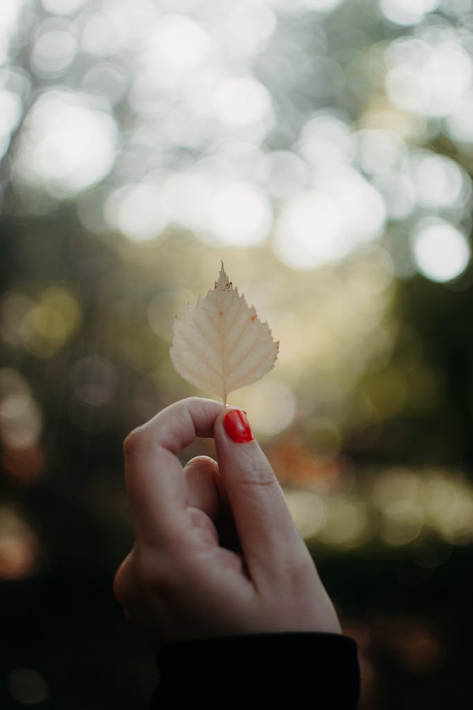 A hand with red nail polish holds a pale leaf against a bokeh background, emphasizing nature in autumn.